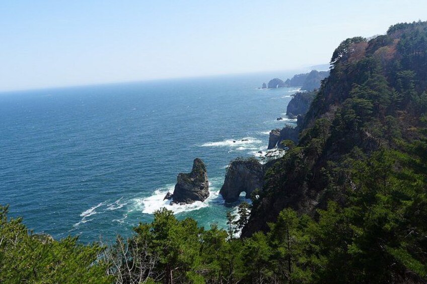 A coastal landscape with cliffs, ocean, and vegetation. 2