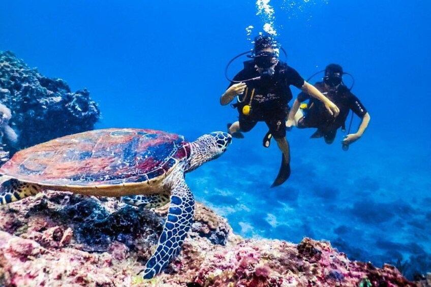 Mediterranean Diving Adventure from Antalya, Kemer 5