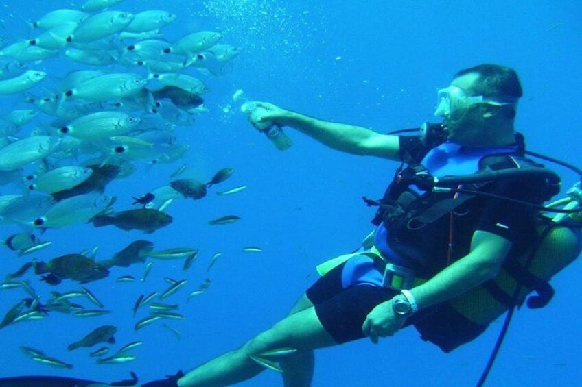 Mediterranean Diving Adventure from Antalya, Kemer 3