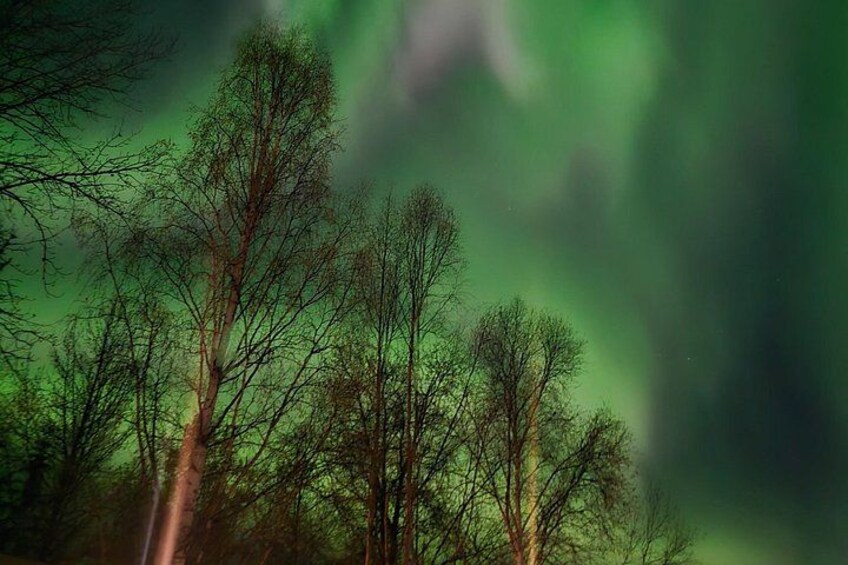 Fire and Ice tour hot springs northern lights 2