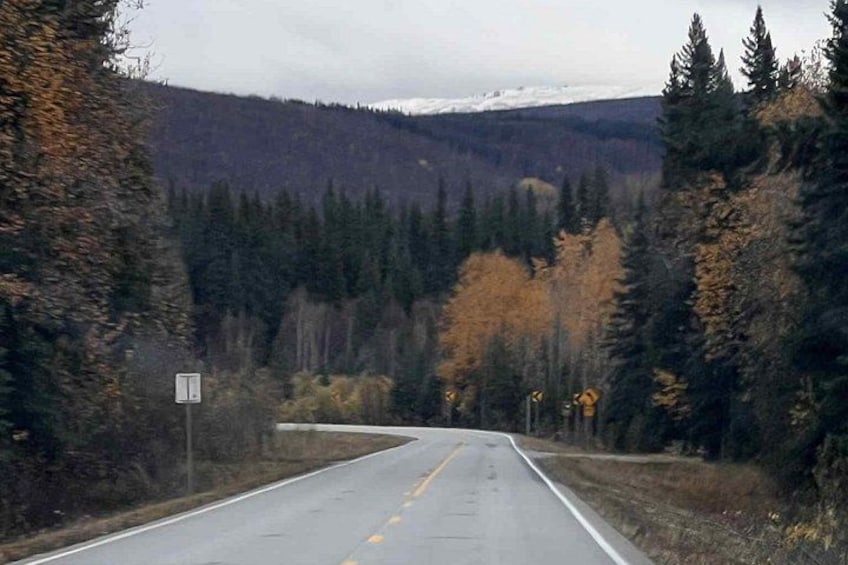 Une route à deux voies, avec un panneau indiquant la limite de vitesse, bordée d’une forêt dense et avec des montagnes en arrière-plan. 1