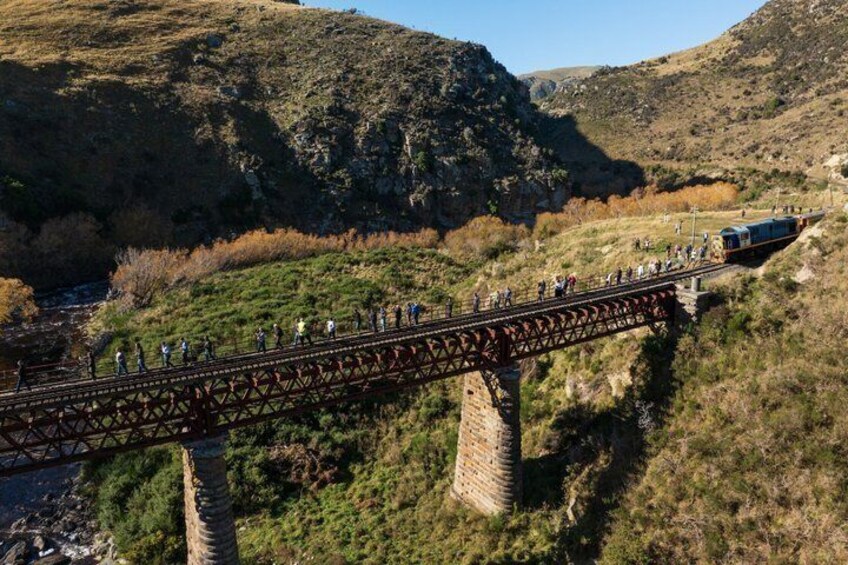 Taieri Gorge Scenic Railway Journey from Dunedin 3