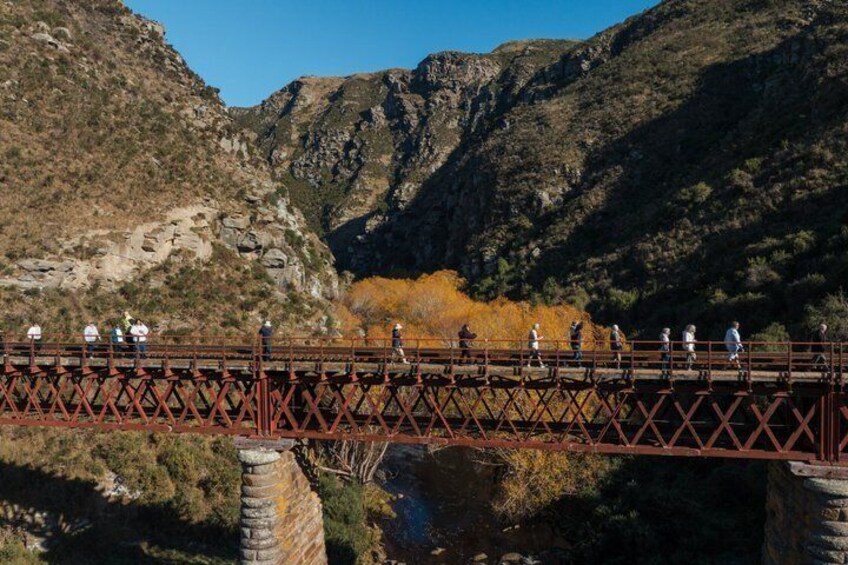 Taieri Gorge Scenic Railway Journey from Dunedin 2