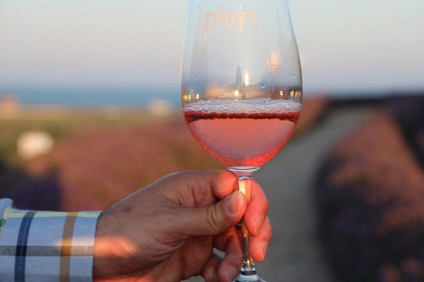 Nessebar and Wine Tasting in Dives Winery 2