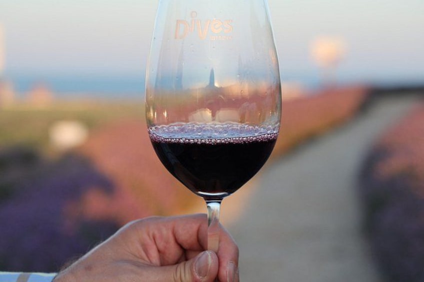 Nessebar and Wine Tasting in Dives Winery 2
