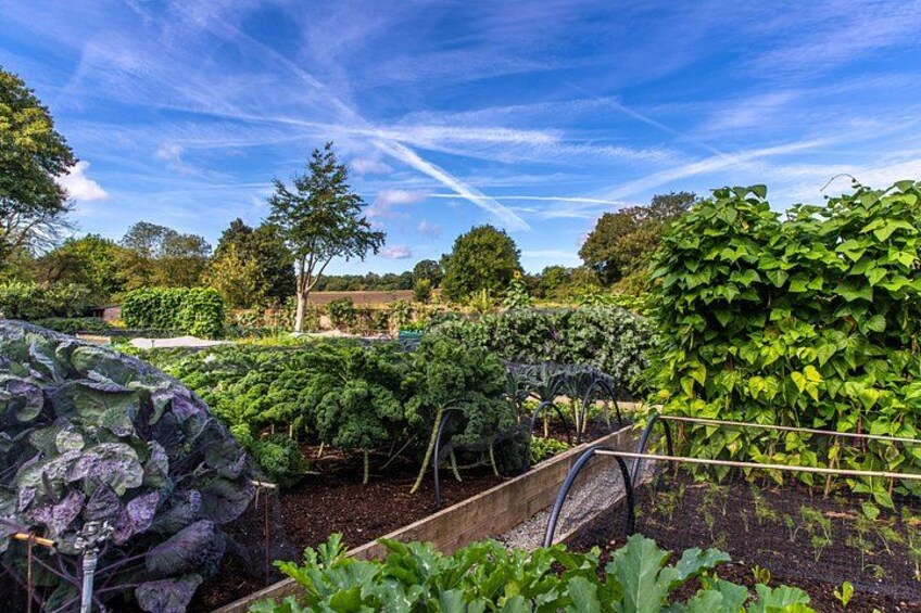 A garden with various vegetables, a wooden fence, and a clear blue sky. 4