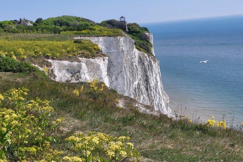 The White Cliffs of Dover 1