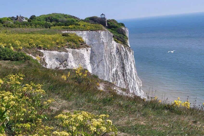 A coastal cliff with a lighthouse, grassy areas, and yellow flowers. 1