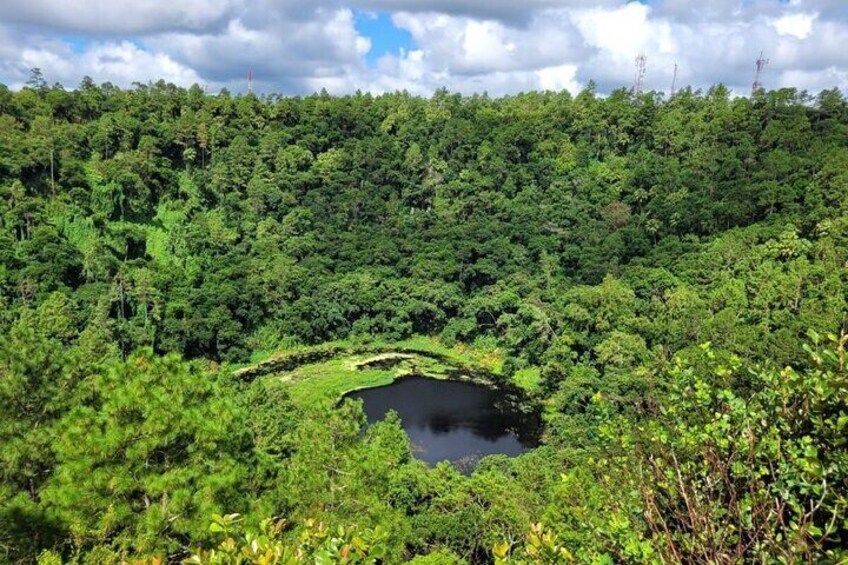 Une forêt verdoyante et luxuriante, avec un petit étang entouré d’une végétation dense. 1