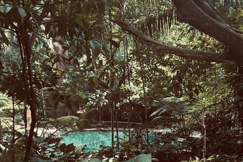 Hidden Valley Springs Getaway, A Perfect Nature Break from Manila 3