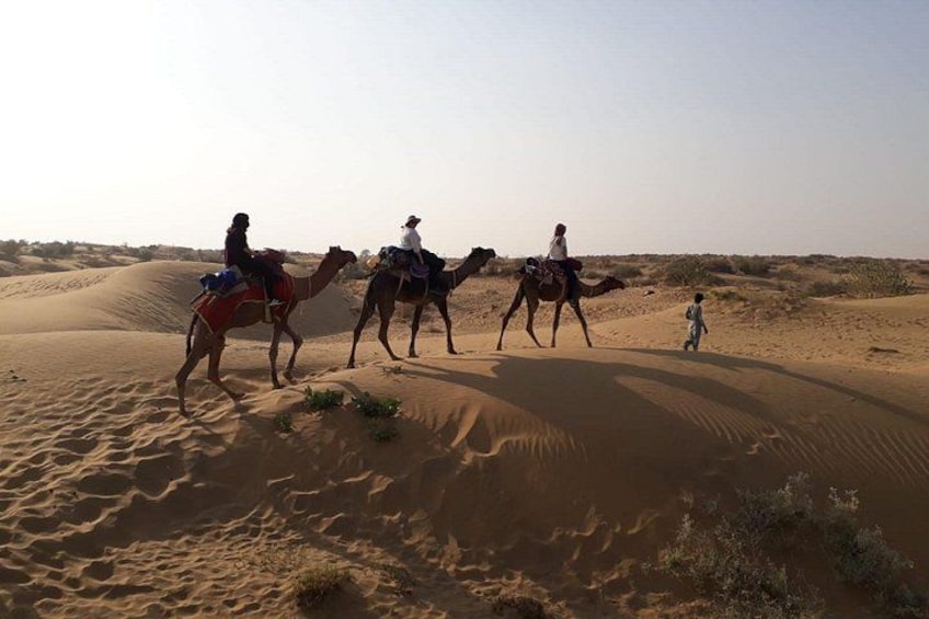 Tres camellos y un niño en un desierto con dunas de arena. 1