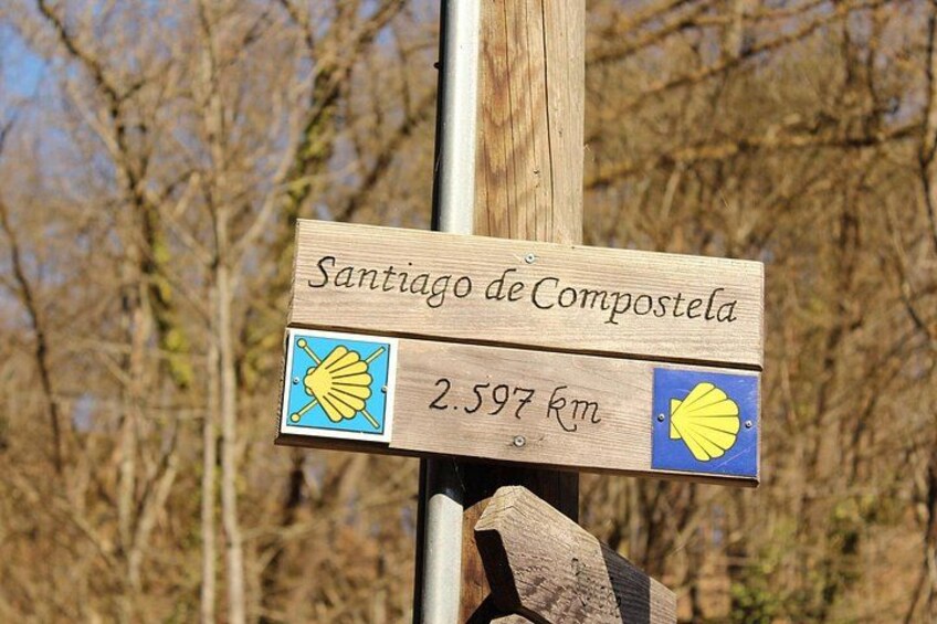Vigo Santiago de Compostela Shore Excursion with Guide 4