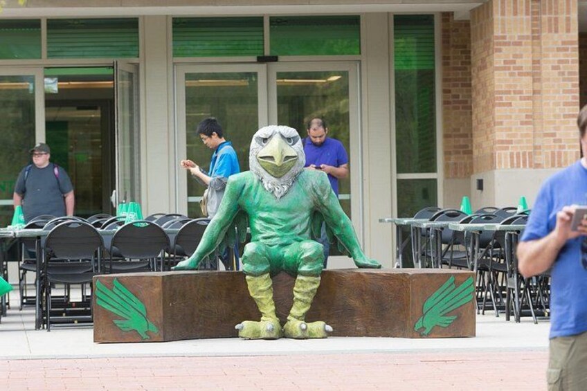 Scrappy on Bench 3