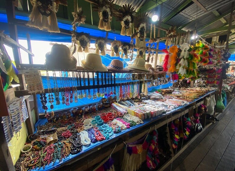 Picture 25 for Activity Manaus: Full-Day Tour on the Amazon River 5