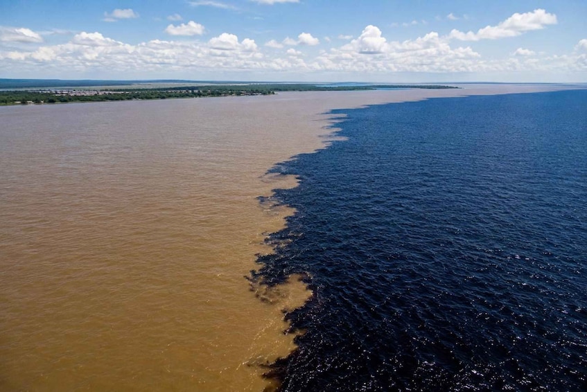 Picture 8 for Activity Manaus: Full-Day Tour on the Amazon River 2