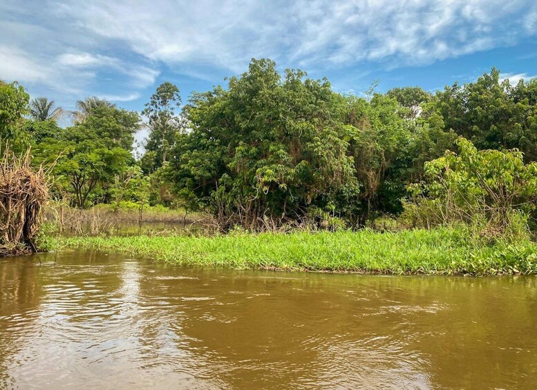 Picture 20 for Activity Manaus: Full-Day Tour on the Amazon River 2