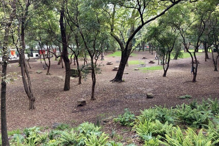 Area of activities 3