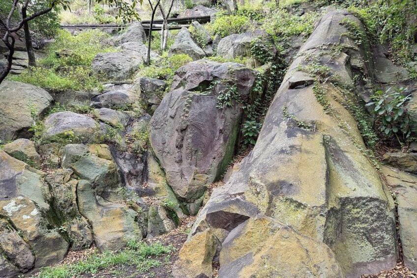 The petroglyph 4