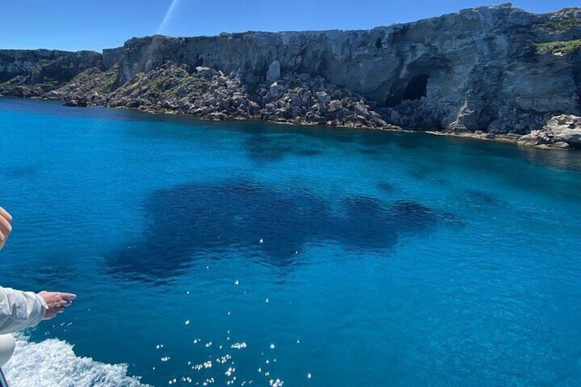 Favignana Coast Boat Tour 4