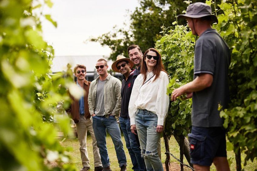 Richmond and Wine Tour 2