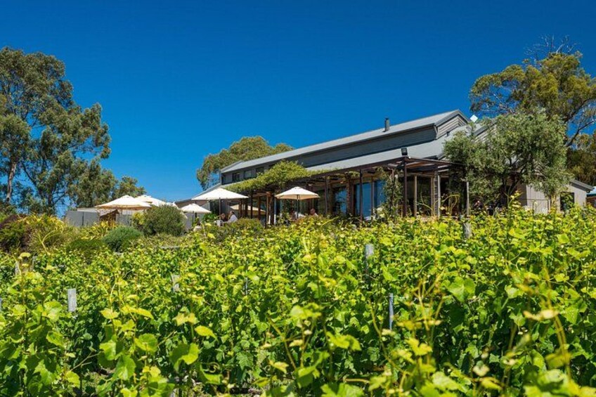 Richmond and Wine Tour 2