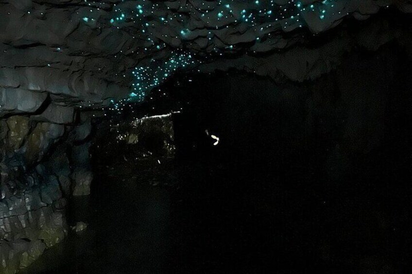 A cave with bioluminescent organisms on the ceiling. 5