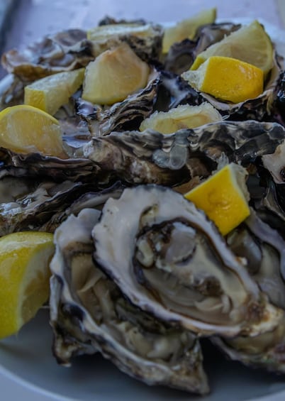 Picture 6 for Activity Knysna Lagoon: Boat Cruise with Oyster & White Wine Tasting 4