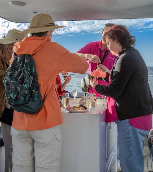Knysna Lagoon: Boat Cruise with Oyster & White Wine Tasting 2