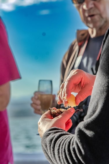 Picture 5 for Activity Knysna Lagoon: Boat Cruise with Oyster & White Wine Tasting 3