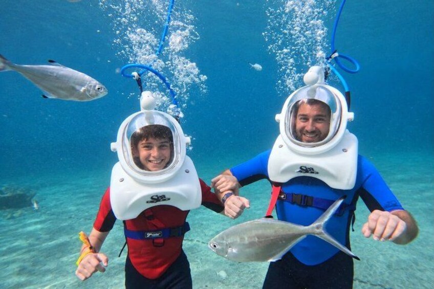 Zwei Personen mit Tauchausrüstung unter Wasser, Hand in Hand, umgeben von Fischen. 2