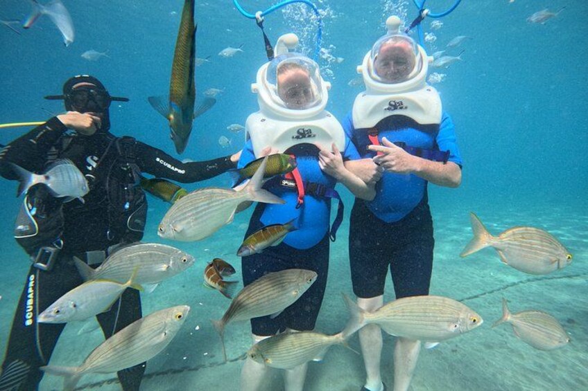 Two divers with scuba gear surrounded by fish in clear water. 3
