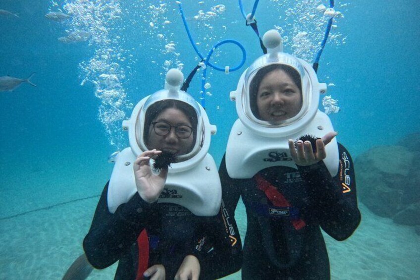 Sea Trek Underwater Walk in Tenerife – No Swimming Required 5