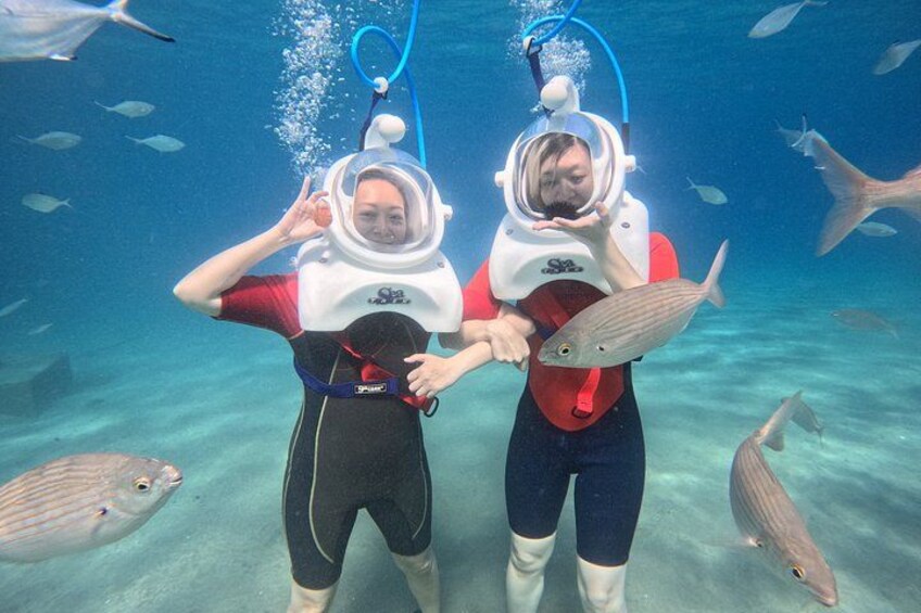 Deux personnes font de la plongée sous-marine, entourées de poissons. 3