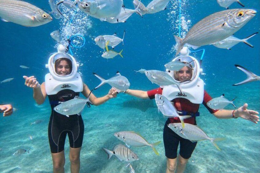 Zwei Personen tauchen unter Wasser inmitten von Fischen. 5