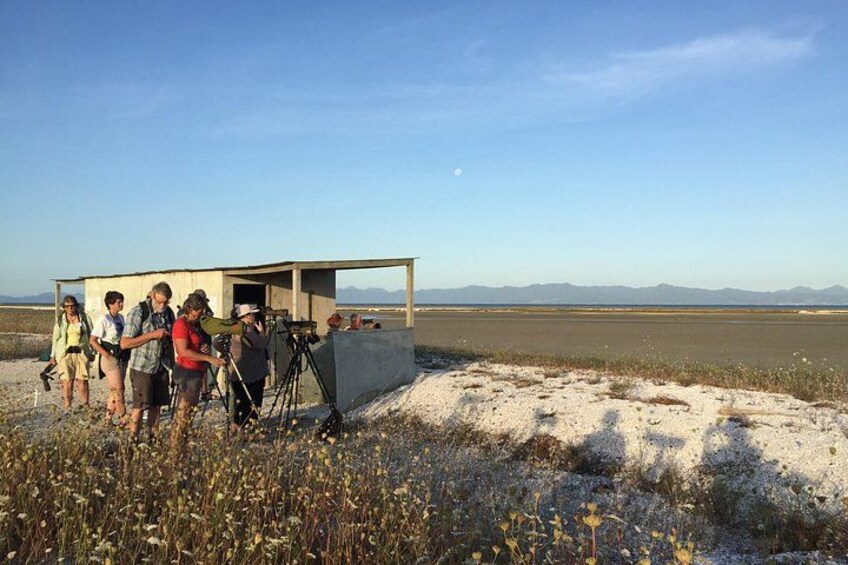Guided Tour at Pukorokoro Shorebird Centre 2