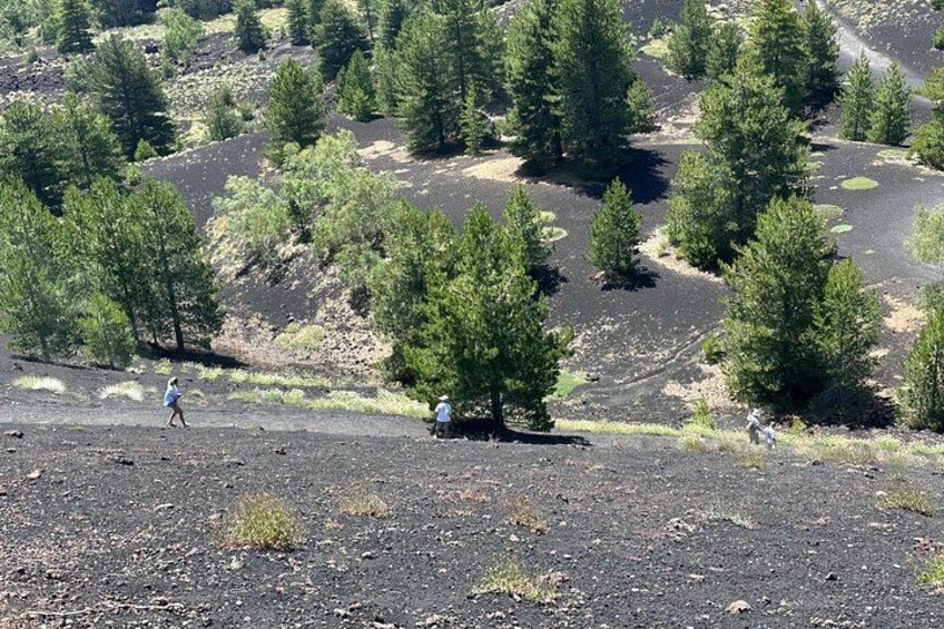 Etna and Wine an experience between nature and aromas with taste. 2