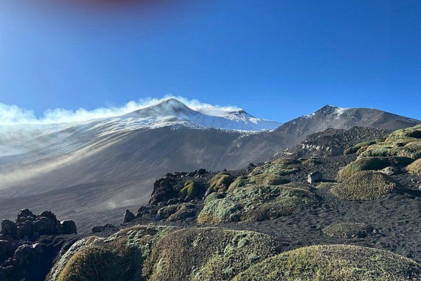 Etna and Wine an experience between nature and aromas with taste. 4