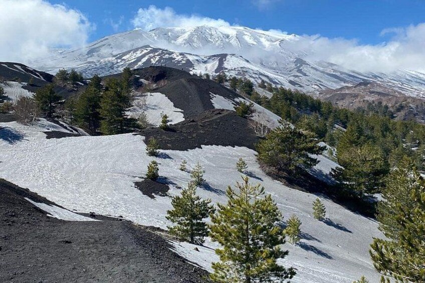 Etna and Wine an experience between nature and aromas with taste. 3
