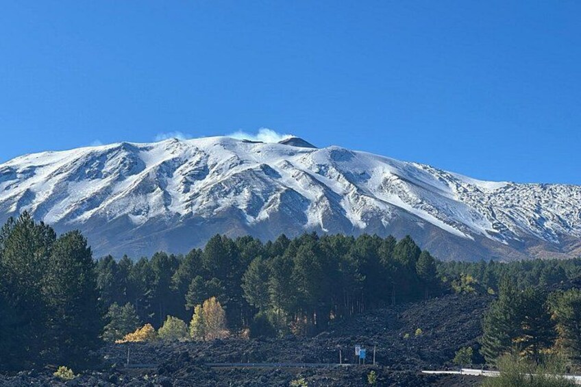 Etna and Wine an experience between nature and aromas with taste. 5