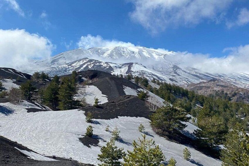 Etna and Wine an experience between nature and aromas with taste. 5