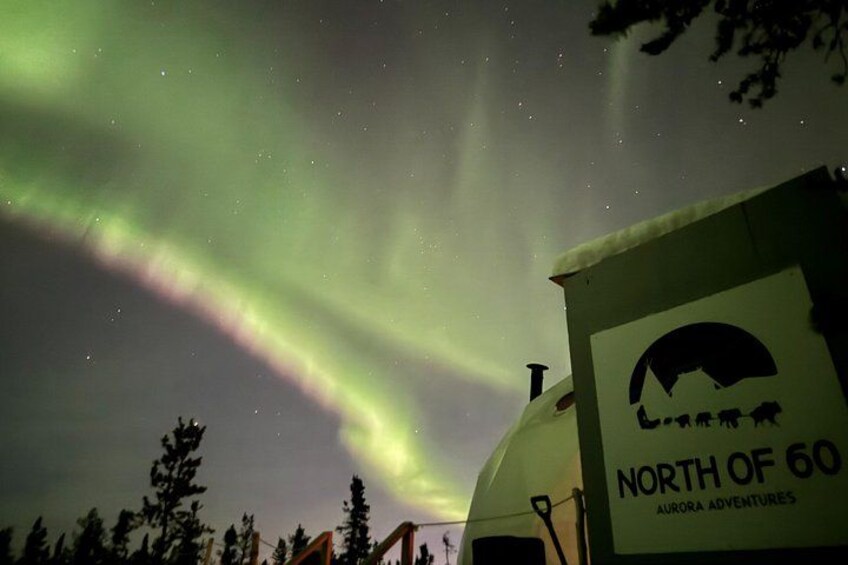Noorderlicht boven een koepelstructuur, met een bord waarop staat 'North of 60 Aurora Adventures'. 1