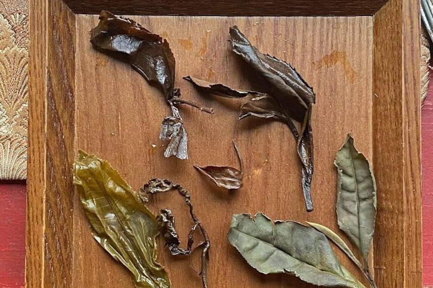 Private Taiwanese Tea Tasting Experience in Taipei 4