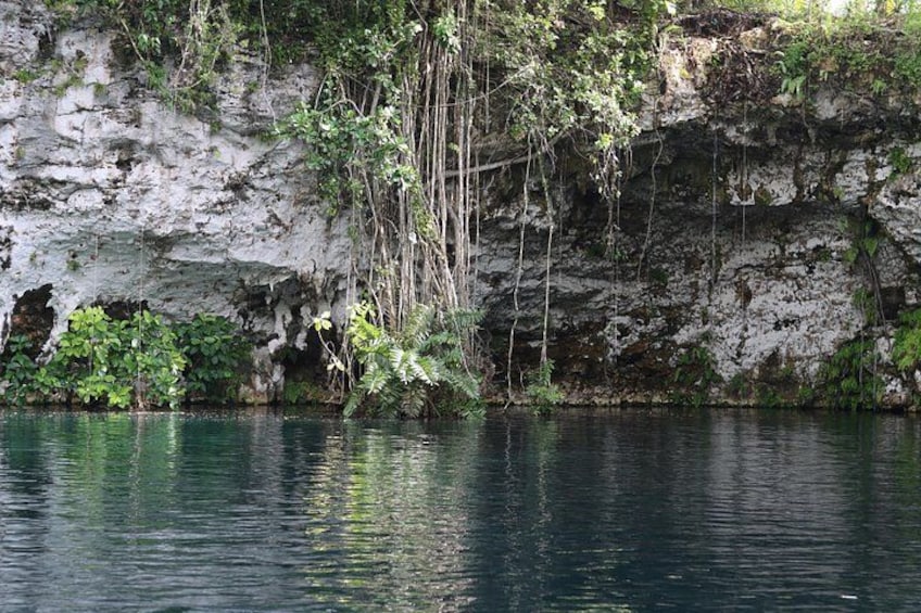 Puerto Plata : Blue Lagoon Adventure with Zip Line 4