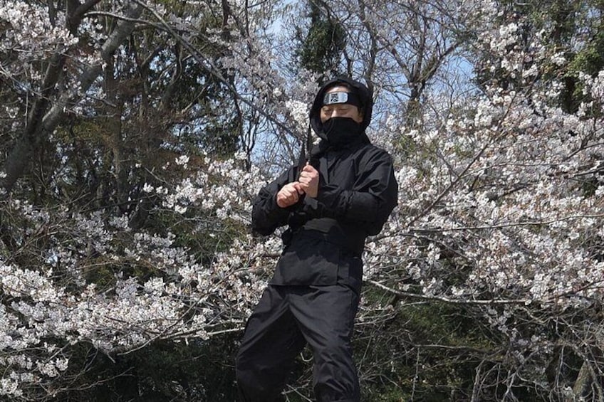 A person in black attire standing among cherry blossoms. 1