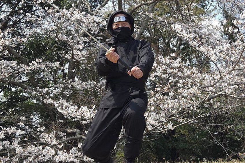 A person in black attire with a head covering, holding a staff, standing in front of cherry blossom trees. 1