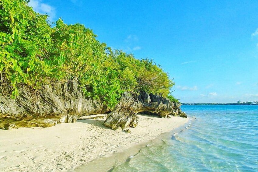 Ile aux Aigrettes 3