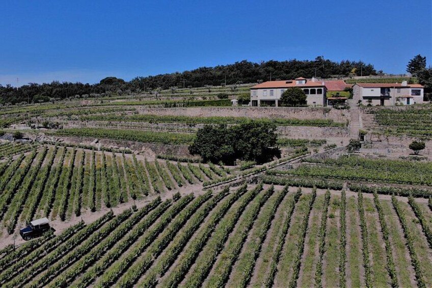 Winery Tour and Wine Tasting Quinta da Portela de Baixo in Lamego 2