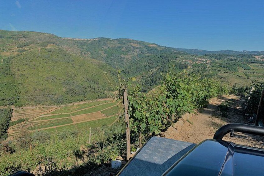 Winery Tour and Wine Tasting Quinta da Portela de Baixo in Lamego 4