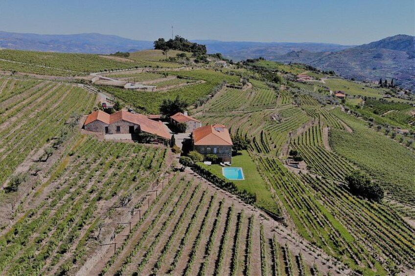 Winery Tour and Wine Tasting Quinta da Portela de Baixo in Lamego 3
