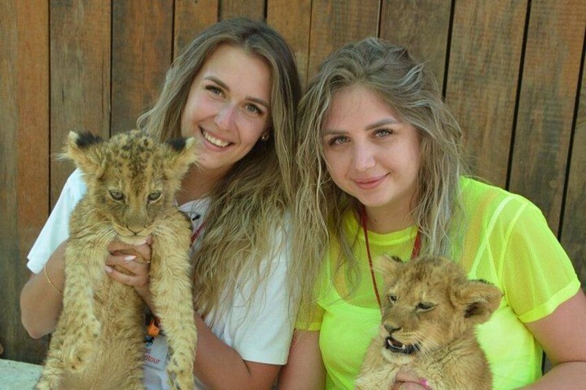 Lion Safari and Green Canyon Splash Feast with Lunch 2